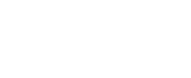 one inspection at a time